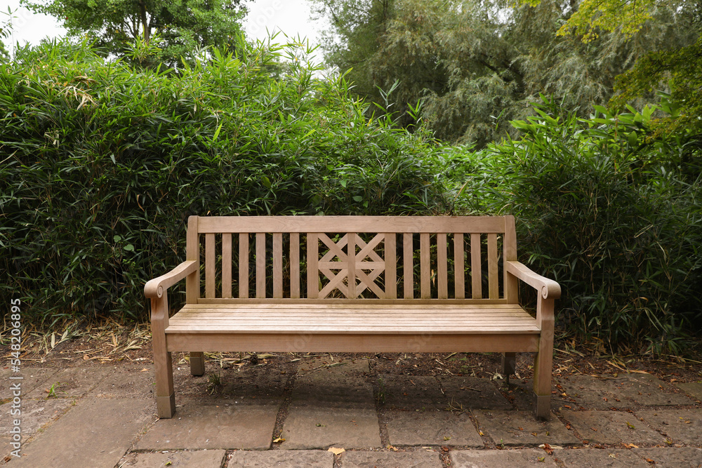 Stylish wooden bench and green plants in beautiful garden Stylish wooden bench and green plants in beautiful garden