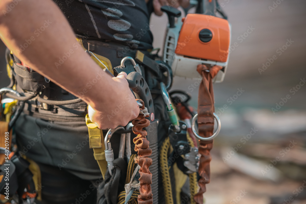 Different safety equipment for arborist or arborists such as ropes, anchors, straps and so on. Detail of arborist equipment.