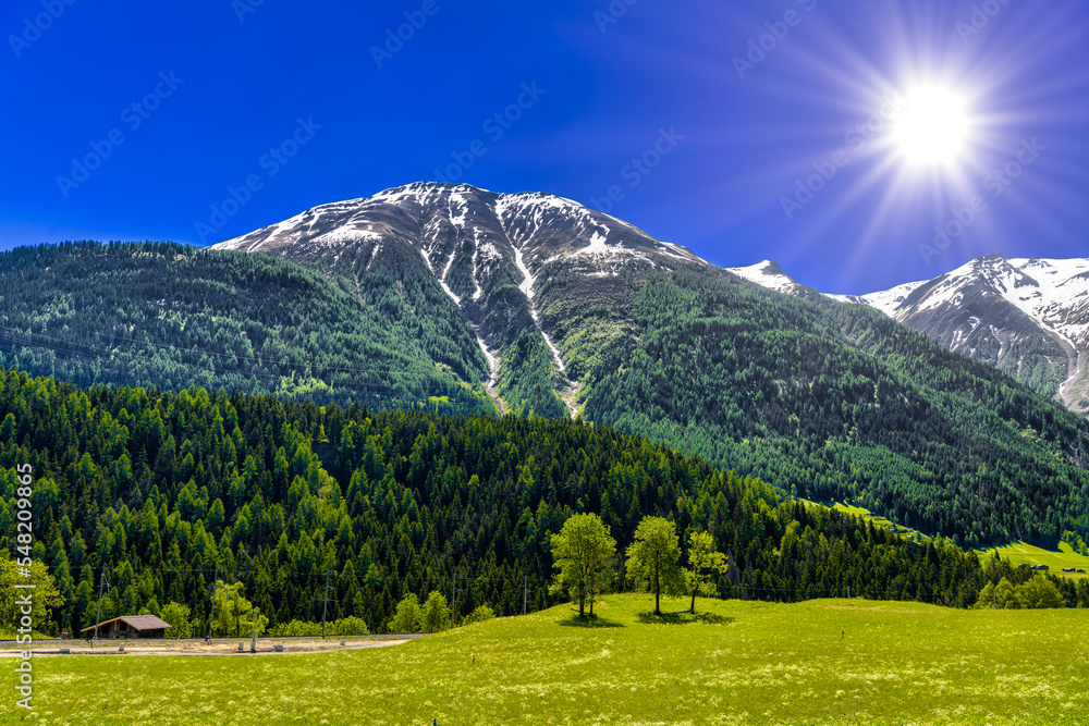 Alp mountains with forest and fields, Fiesch, Goms, Wallis, Vala Alp mountains with forest and fields, Fiesch, Goms, Wallis, Vala