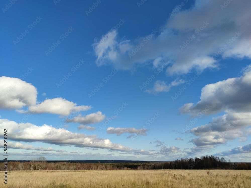 Clouds hang over the field in even rows. On an autumn sunny day, cumulus clouds hang over a distant forest and a meadow with yellowed grass. The White Clouds lined up in long, even rows. Clouds hang over the field in even rows. On an autumn sunny day, cumulus clouds hang over a distant forest and a meadow with yellowed grass. The White Clouds lined up in long, even rows.