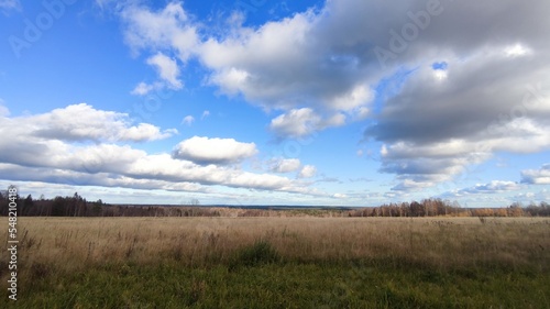 Clouds hang over the field in even rows. On an autumn sunny day  cumulus clouds hang over a distant forest and a meadow with yellowed grass. The White Clouds lined up in long  even rows.