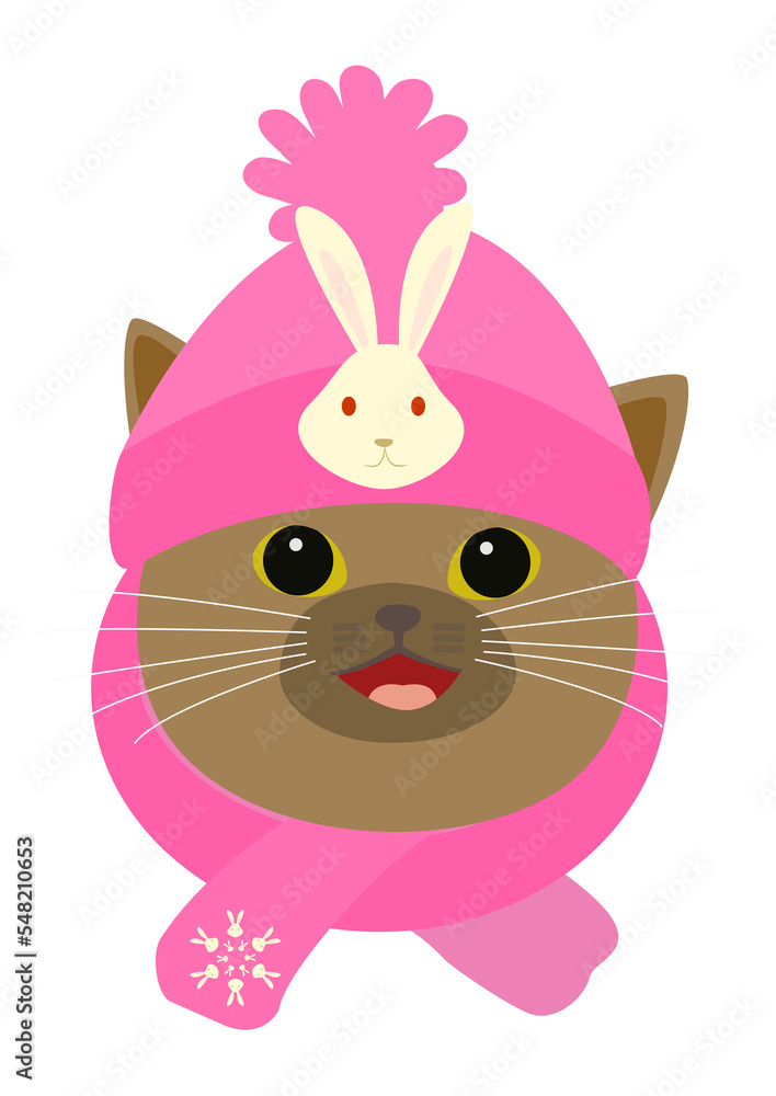 ウサギのマークが付いたピンク色の帽子をかぶる可愛い猫