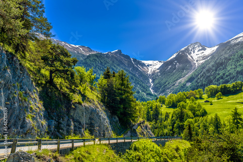 Swiss Alps mountains with trees, Moerel, Filet, Oestlich Raron, Wallis Valais Switzerland