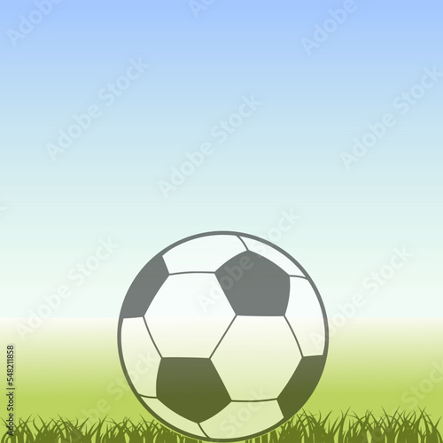 ball of soccer on grass