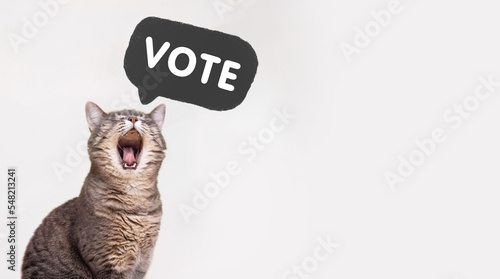 Voting in elections. Call to vote, banner. cat screaming the word VOTE. The concept of elections, voting.