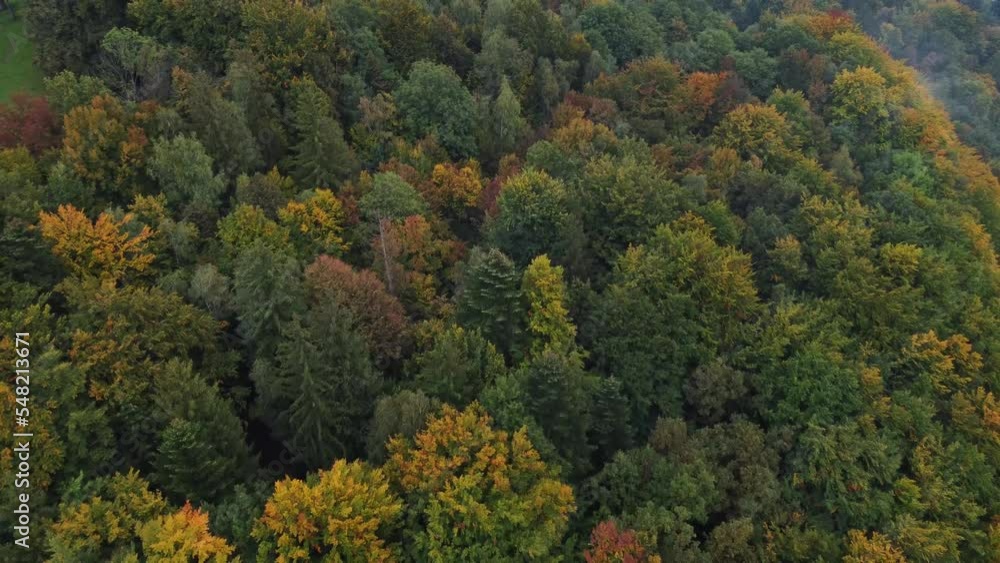View of the Autumn deciduous forest playing with all the colours of October and November. A breathtaking fairy tale from mother nature. Yellow, green, orange, red all in one place. Beskydy, Czech repu View of the Autumn deciduous forest playing with all the colours of October and November. A breathtaking fairy tale from mother nature. Yellow, green, orange, red all in one place. Beskydy, Czech repu