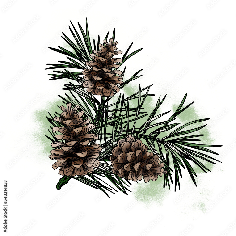 Fototapeta premium Watercolor christmas colorful print. Holly leaves, pine cones and mistletoe. Perfect for greetings, invitations, manufacture wrapping paper, textile and web design. 