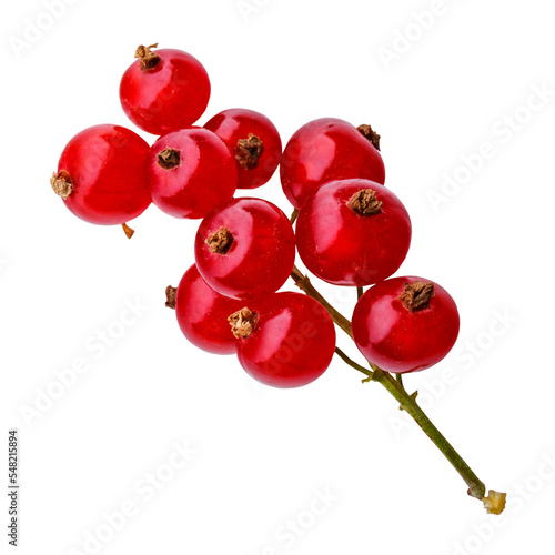 Red currant berry photo