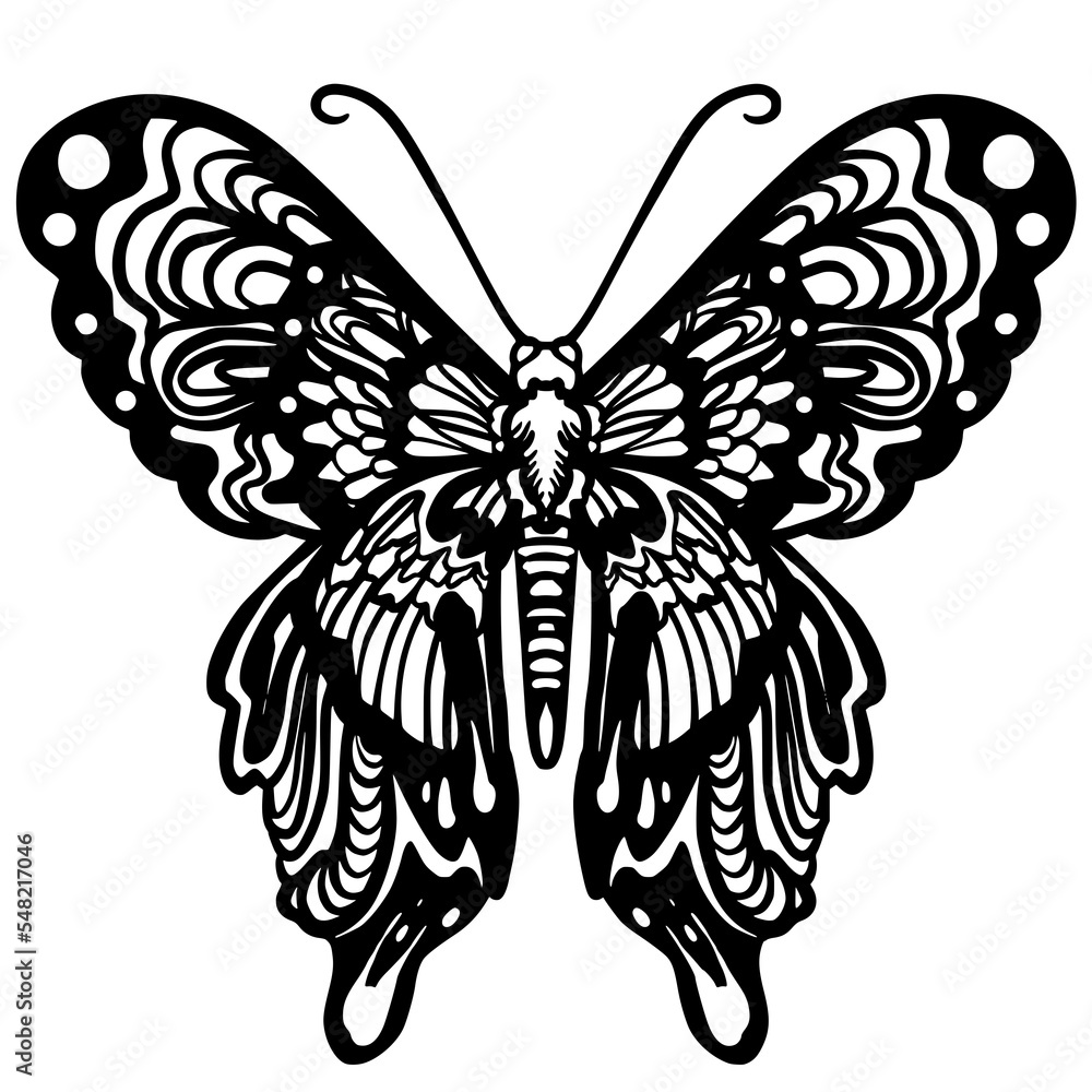 Butterfly Butterfly