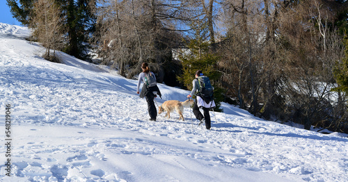two girls with the dog in the snow Walking in the mountains