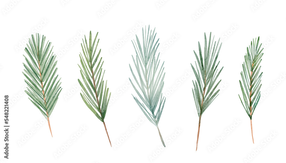 Fototapeta premium Watercolor Christmas hand-drawn botanical winter greenery, fir pine branches. Perfect for holiday invitations, card design