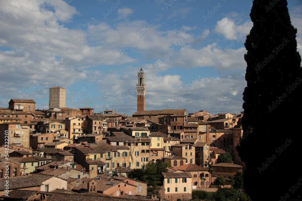 Italy, Tuscany: Foreshortening of Siena.