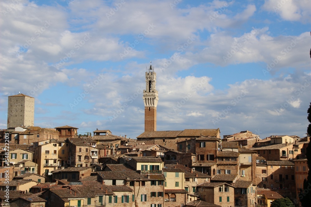 Italy, Tuscany: Foreshortening of Siena.