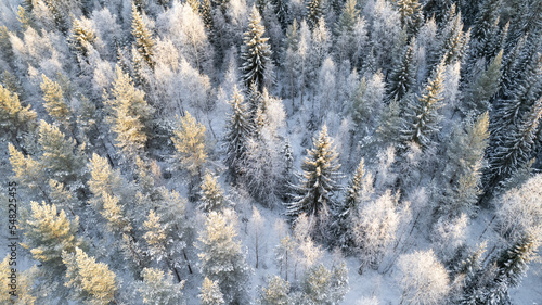 Lapland, Scandinavia in winter. Aerial view of winter forest covered in snow, drone photography - panoramic image of Beautiful frosty trees, christmas time, Happy new year.