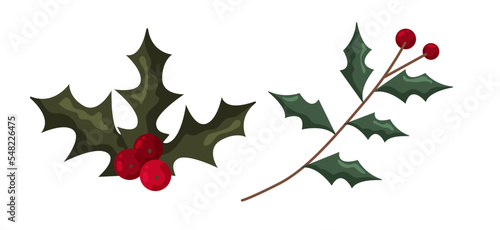 Christmas berry holly. Floral branch red xmas winter decor christmas berry symbol. Decorative holly christmas leaf traditional ornament symbol.