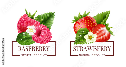Berry Labels Realistic Set