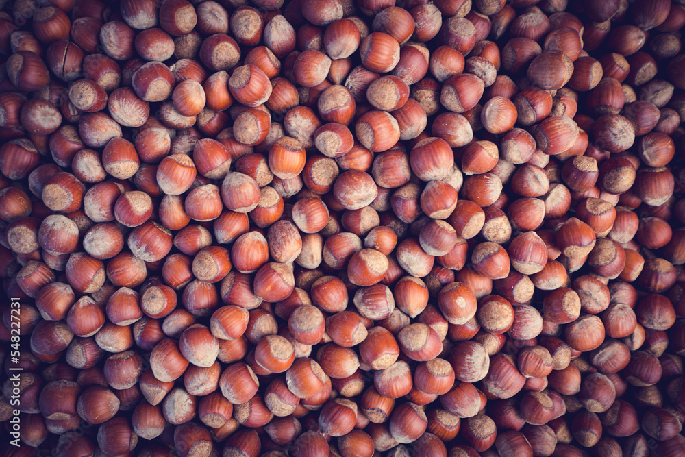 Full frame of Hazelnuts. Corylus-avellana Full frame of Hazelnuts. Corylus-avellana