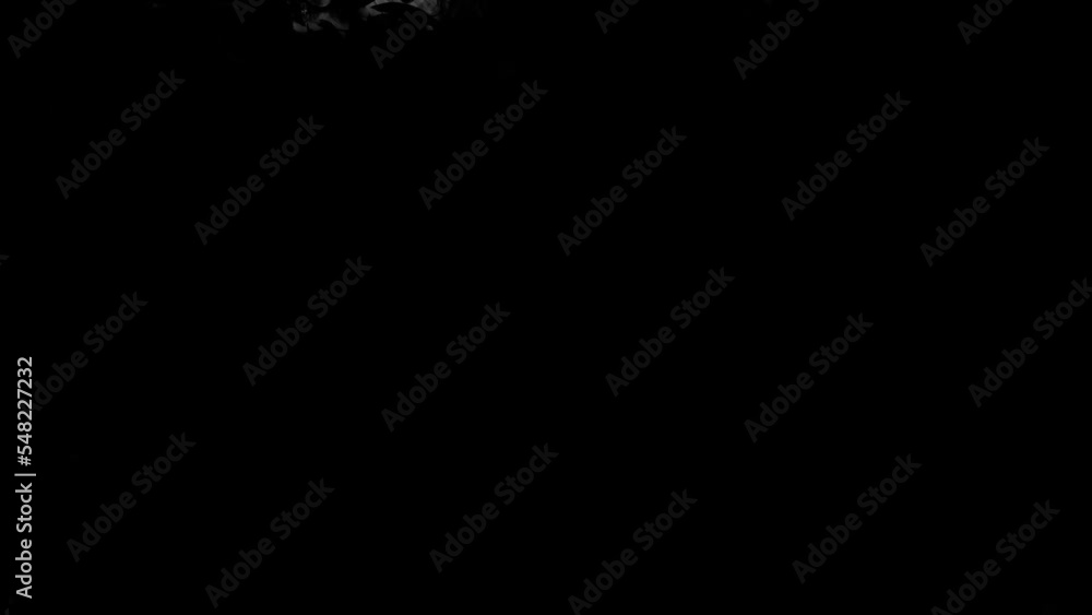 Ink transition on alpha channel.