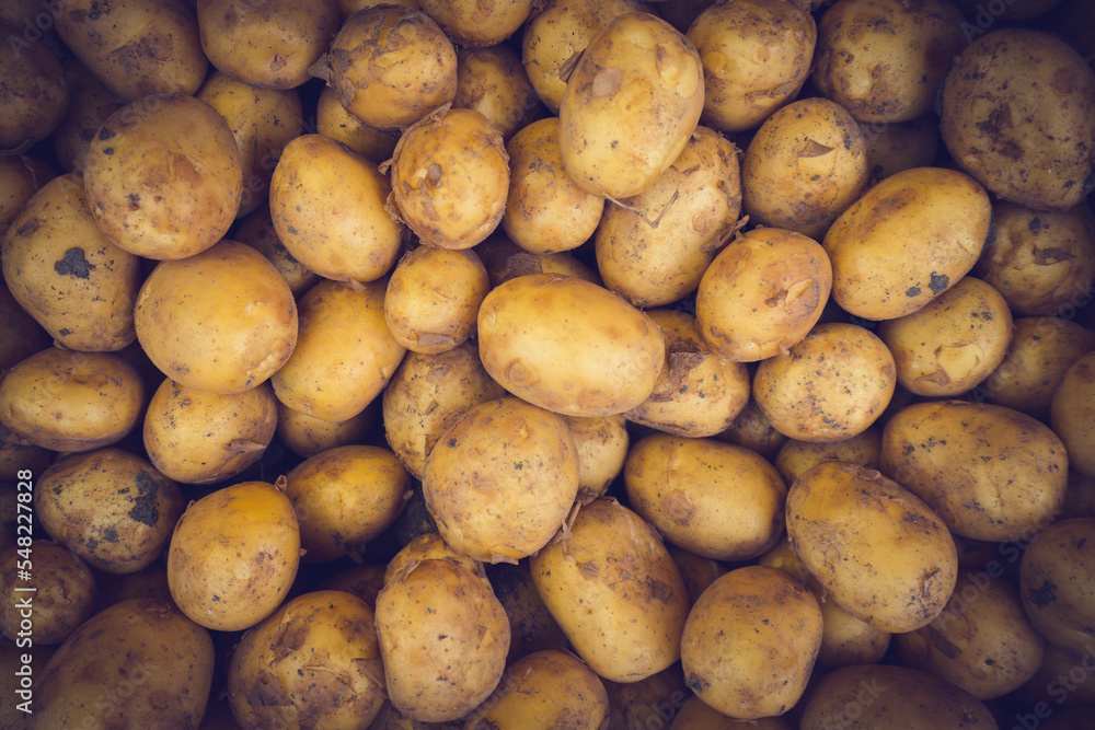 Fresh Organic Whole Potato. Farmers Market Fresh Organic Whole Potato. Farmers Market