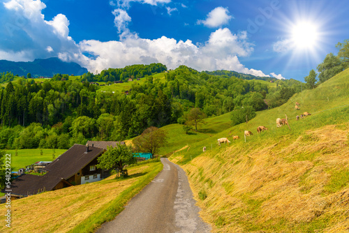 Road in village Grabs in Werdenberg in St. Gallen, Switzerland
