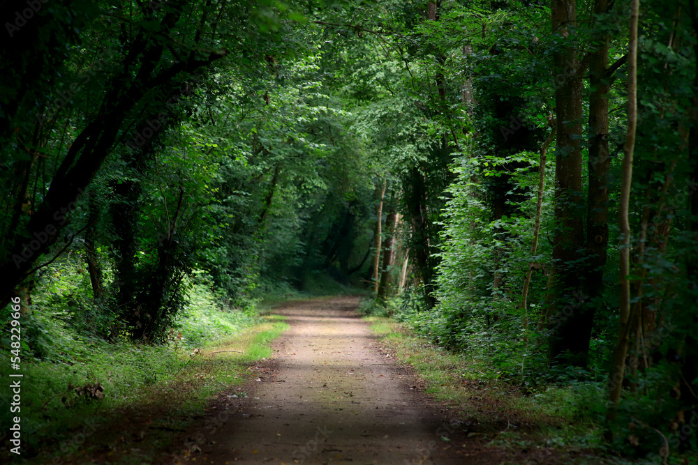 Obraz premium Tunnel