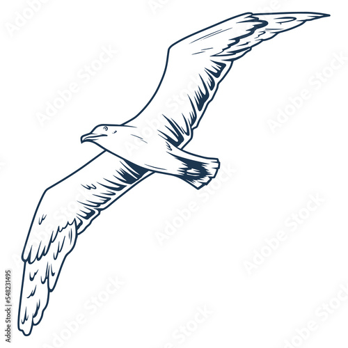 Flying seagull monochrome detailed logotype