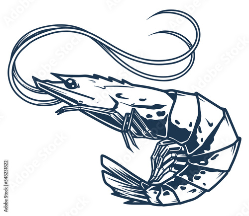 Ocean shrimp detailed monochrome label