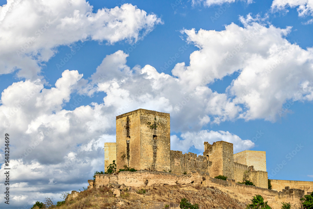 Views from the Parque de la Retama of the castle of Alcalá de Guadaira in Seville, in blue sky and white clouds