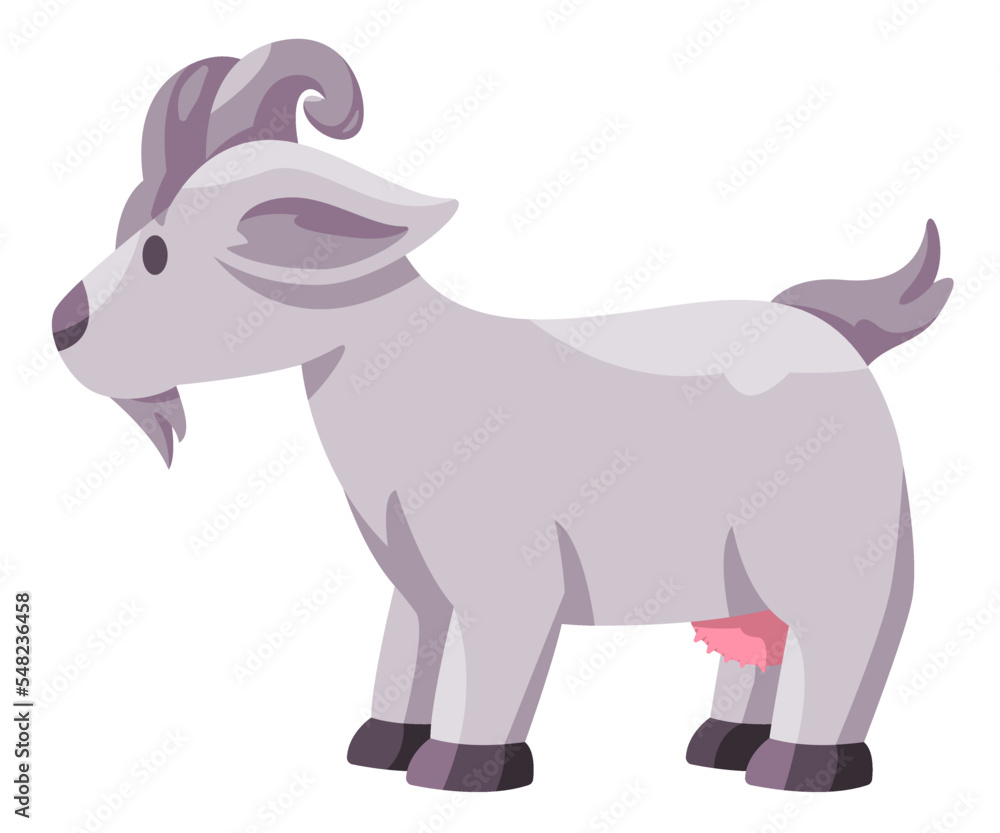 Goat lamb illustration of animal cute funny cartoon