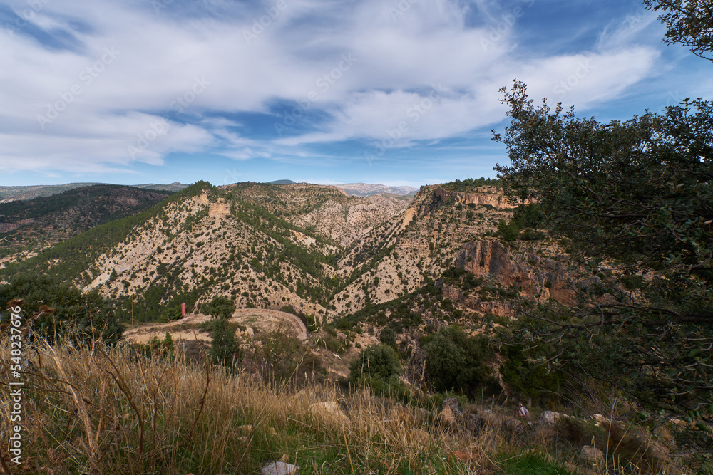 autumn forest against the backdrop of mountains