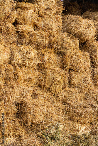 Dry hay for feed of farm animals stored in the barn on the farm. Straw background