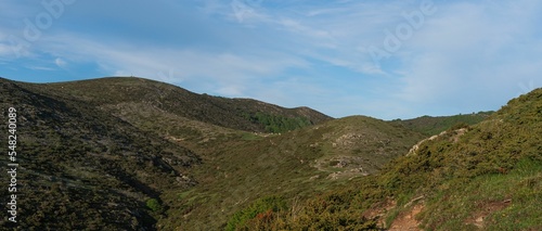 Aerial view of mountain landscape surrounded by bushes photo