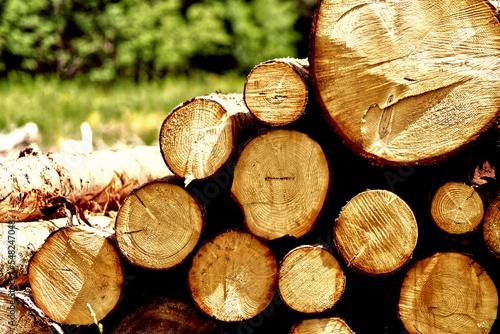 stack of wood