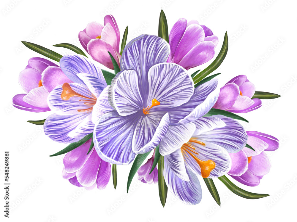 bouquet of spring crocus flowers bouquet of spring crocus flowers