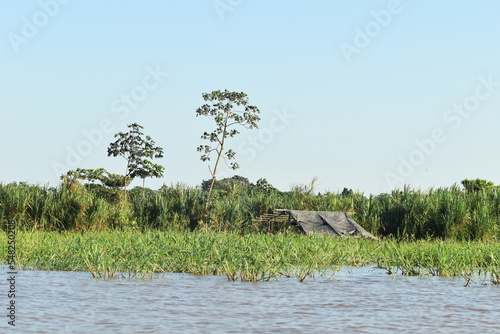 the river in the forest