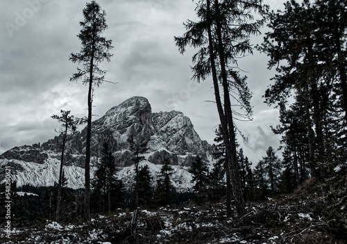 landscape with trees, snow and mountains