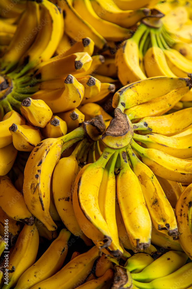 BANANABRASIL BANANABRASIL