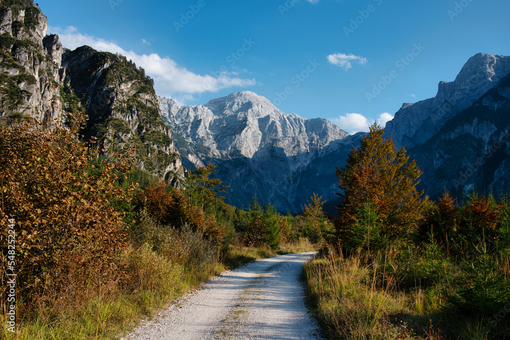 Naklejka premium Path to the Mountains, Austria Almtal