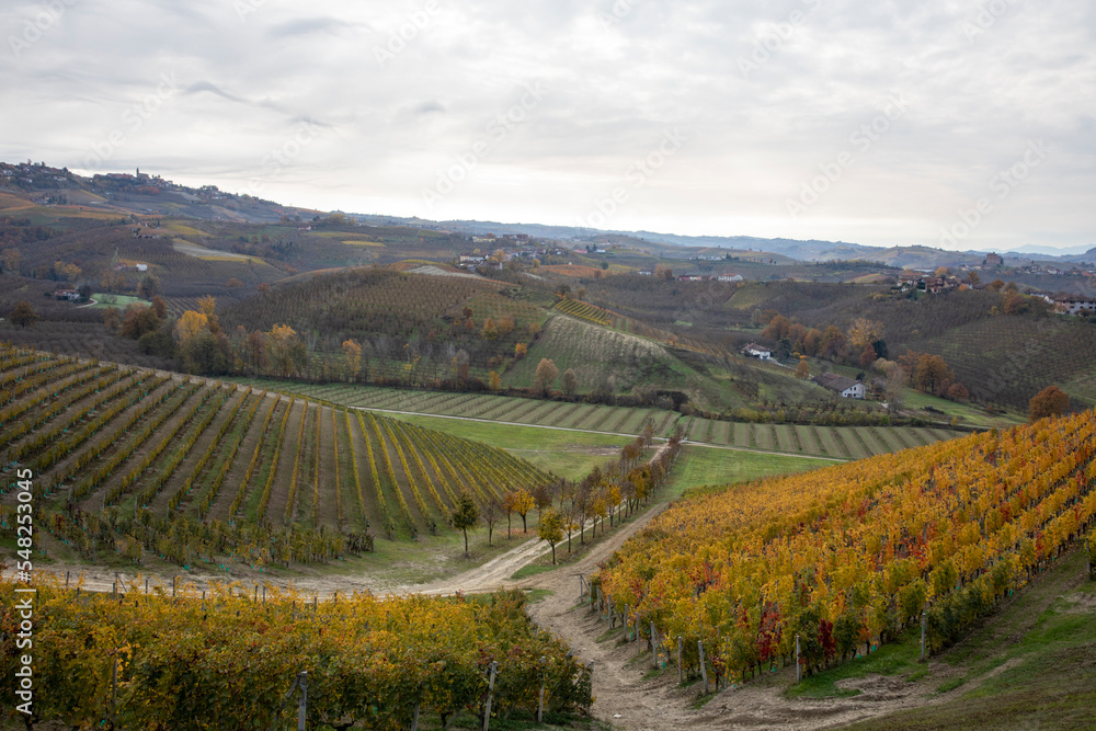 Alba (CN), Italy - November 19, 2022: The Ceretto winery hill, Alba, Cuneo, Piedmont, Italy.