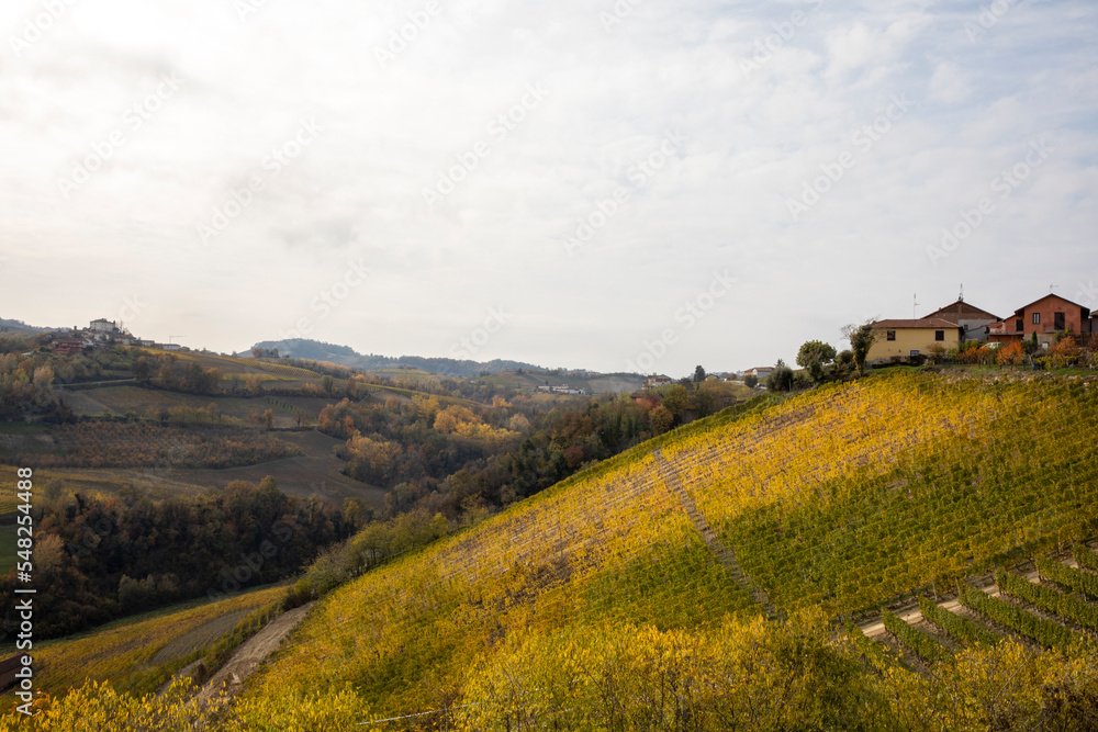 Langhe (CN), Italy - November 19, 2022: Langhe landscape in autumn, Langhe,  Piedmont, Italy.