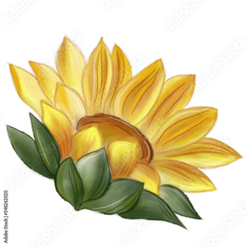 sunflower watercolor