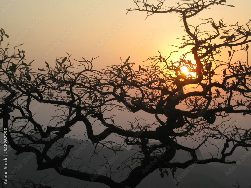 Sun set at Pachmarhi Biosphere Reserve, India Sun set at Pachmarhi Biosphere Reserve, India