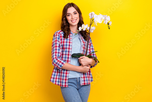 Photo of sweet shiny lady wear plaid shirt holding orchid flower pot isolated yellow color background