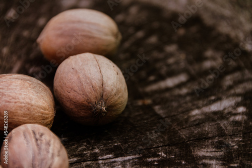 Pecan nuts on a wooden log