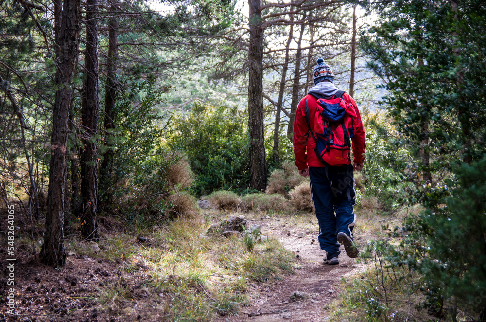 Man doing a mountain route through the forest Man doing a mountain route through the forest