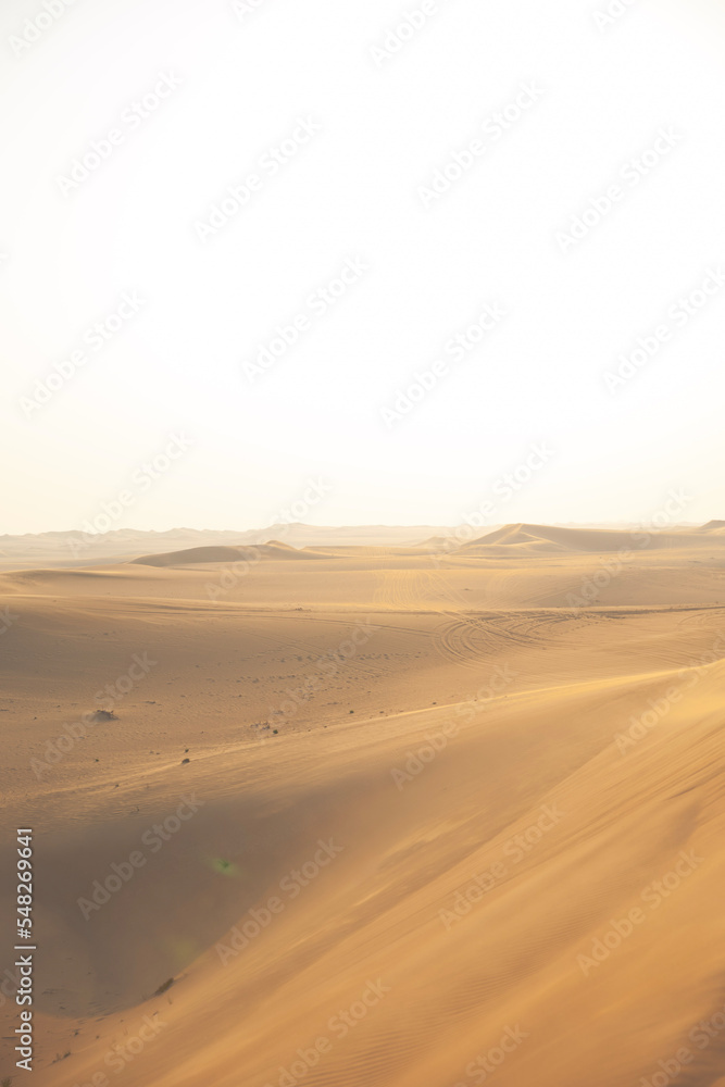 Sand dunes in the desert of Abu Dhabi