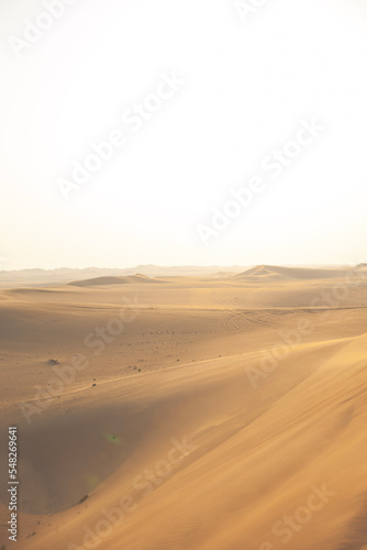 Sand dunes in the desert of Abu Dhabi