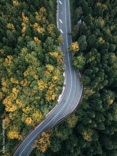 Aerial view of a road in the middle of the colorful forest