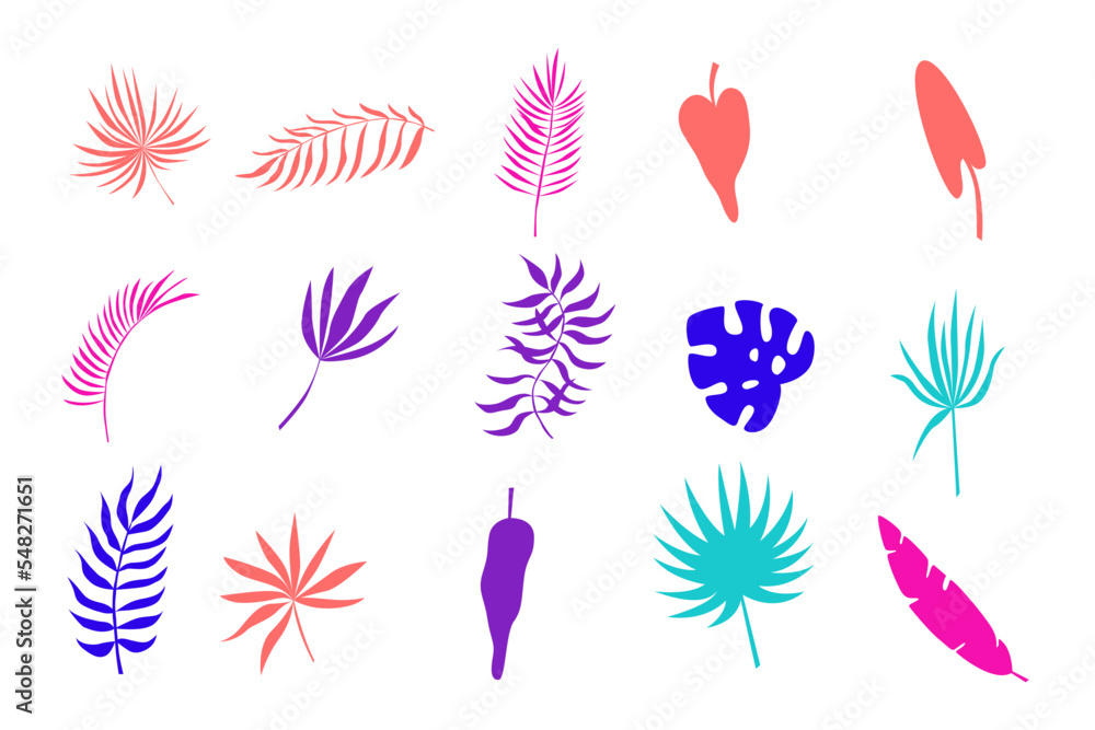 Fototapeta premium Tropical Exotic Palm Leaf Plant Silhouette Symbol Minimalist Label Doodle Bright Element Plant Leaf Icon Clipart Set Collection