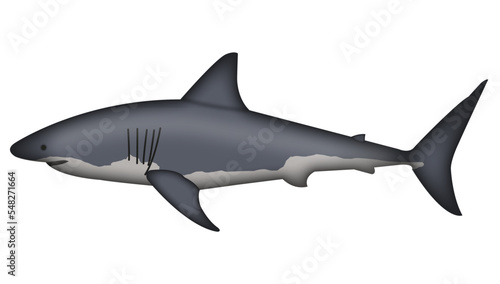 Requin